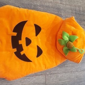 🍂Dog Pumpkin Costume